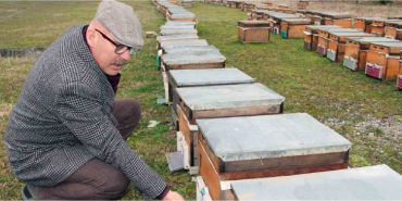 alucra-gazetesi-alucra-haberleri-giresun-haberleri-son-dakika-arıcılık-giresun-arı-yetisricileri-birligi-baskani-kubilay-elevli-arı-bakımı