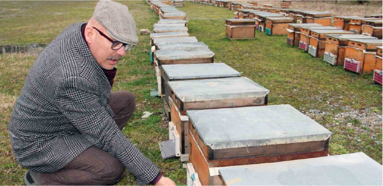 alucra-gazetesi-alucra-haberleri-giresun-haberleri-son-dakika-arıcılık-giresun-arı-yetisricileri-birligi-baskani-kubilay-elevli-arı-bakımı