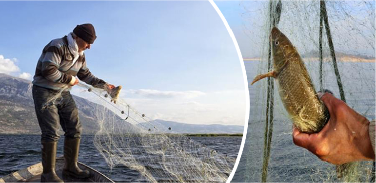 alucra-gazetesi-alucra-haberleri-giresun-haberleri-son-dakika-ic-sularda-balik-avi-yasagi-basladi-alucra-dereleri-koruma-altinda