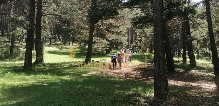 alucra gazetesi alucra haberleri giresun haberleri yurt mudurlugunden ogrencilere piknik 5 Alucra, Alucra Gazetesi, Alucra Haberleri