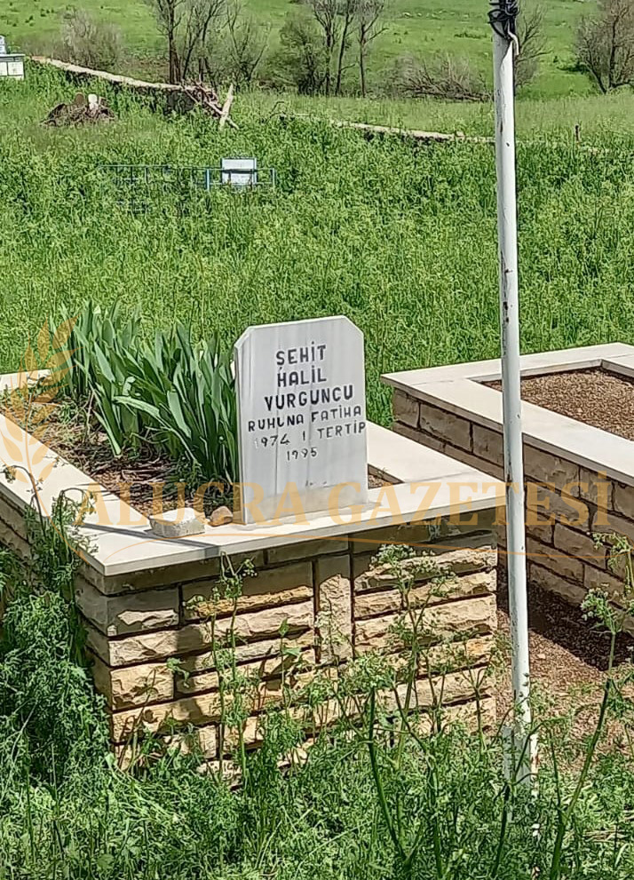 sehid 3 1 Alucra, Alucra Gazetesi, Alucra Haberleri