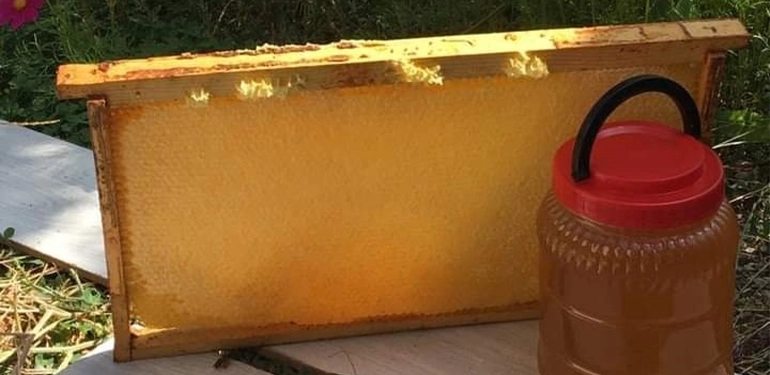 alucragazetesi alucrahaberleri giresunhaberleri bu yil alucrada bal rekoltesi cok dusuk 2 1 Alucra, Alucra Gazetesi, Alucra Haberleri