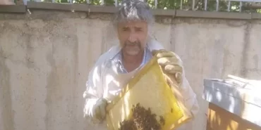 alucragazetesi-alucrahaberleri-giresunhaberleri-bu-yıl-alucrada-bal-rekoltesi-cok-dusuk