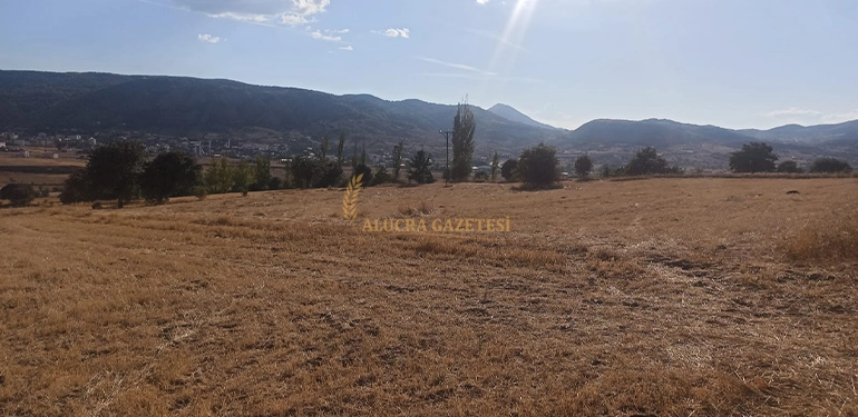 alucragazetesi alucrahaberleri giresunhaberleri alucrada osb kurulacak alan tespiti yapildi 5 Alucra, Alucra Gazetesi, Alucra Haberleri