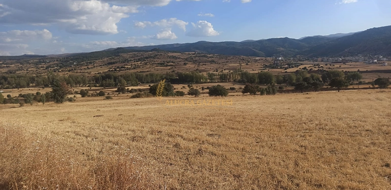 alucragazetesi alucrahaberleri giresunhaberleri alucrada osb kurulacak alan tespiti yapildi 7 Alucra, Alucra Gazetesi, Alucra Haberleri