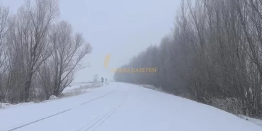 alucra-gazetesi-alucra-haberleri-giresun-haberleri-alucrada-mevsimin-ilk-kar-yagisi-gerceklesti