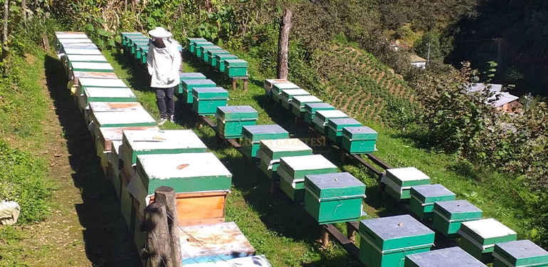 alucra gazetesi alucra haberleri giresun haberleri 2023yili arili kovan destekleme listesi askiya cikti 2 1 Alucra, Alucra Gazetesi, Alucra Haberleri