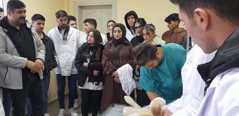 alucra gazetesi alucra haberleri giresun haberleri alucraturan bulutcu myo sebinkarahisarda 3 Alucra, Alucra Gazetesi, Alucra Haberleri