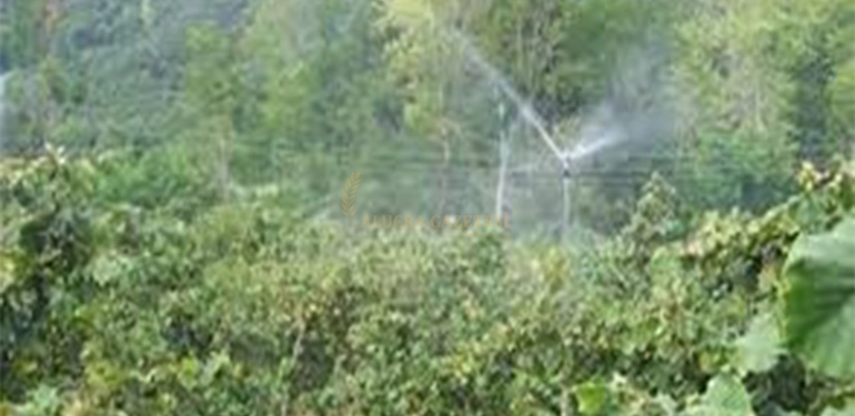 alucra gazetesi alucra haberleri giresun haberleri bireysel sulama sistemleri 50 hibe destegi muracatlari basladi 2 1 Alucra, Alucra Gazetesi, Alucra Haberleri