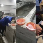 alucra-gazetesi-alucra-haberleri-giresun-haberleri-giresunda-alabalik-sagimi-devam-ediyor