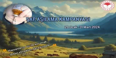 alucra-gazetesi-alucra-haberleri-giresun-haberleri-sap-asilama-kampanyasi-basladi