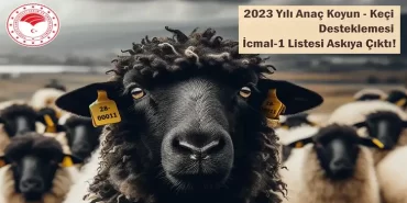 alucragazetesi-alucrahabaerleri-giresunhaberleri-anac-koyun-ve-keci-desteklemesi-icmal-listesi