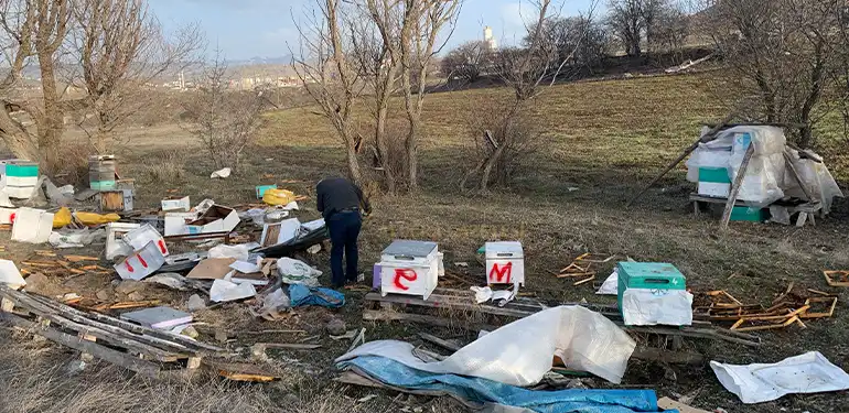 alucrada ayilar kovanlari talan etti 107 kovan telef oldu 2 1 Alucra, Alucra Gazetesi, Alucra Haberleri