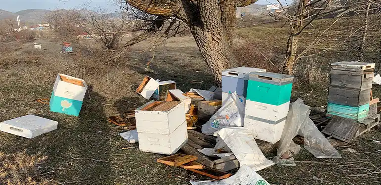 alucrada ayilar kovanlari talan etti 107 kovan telef oldu 3 Alucra, Alucra Gazetesi, Alucra Haberleri