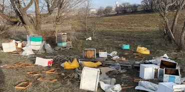 alucrada-ayilar-kovanlari-talan-etti-107-kovan-telef-oldu