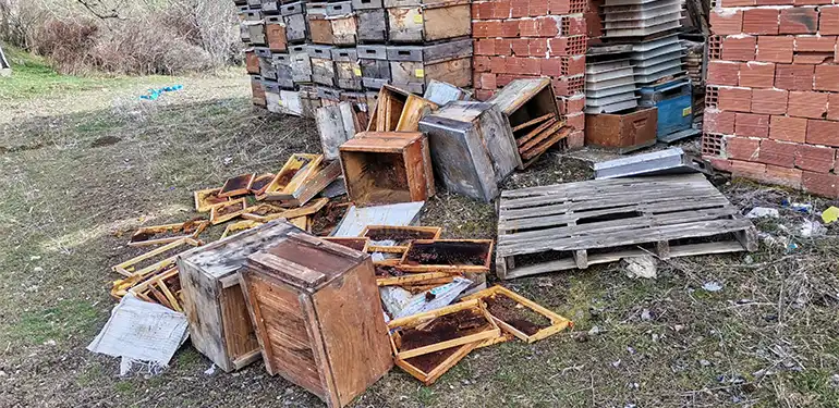 alucrada ayilar kovanlari talan etti 107 kovan telef oldu 5 Alucra, Alucra Gazetesi, Alucra Haberleri