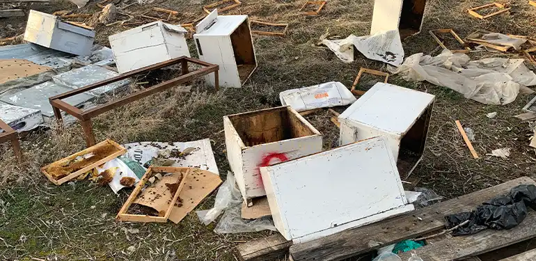 alucrada ayilar kovanlari talan etti 107 kovan telef oldu 6 Alucra, Alucra Gazetesi, Alucra Haberleri