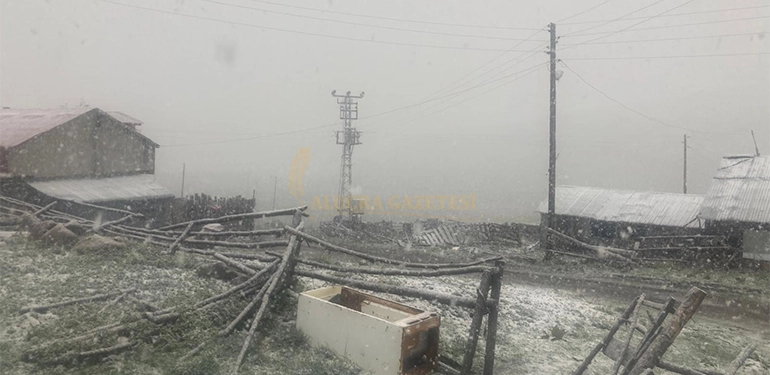 alucrada kis geri geldi daglara kar dustu 2 1 Alucra, Alucra Gazetesi, Alucra Haberleri