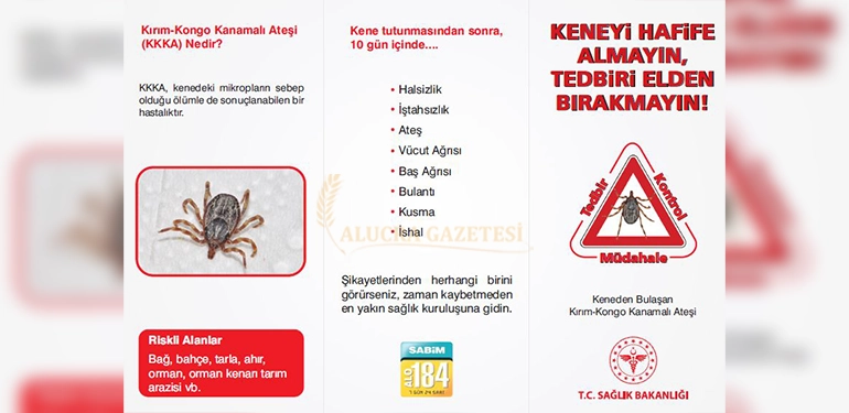 giresun il saglik mudurlugu uyardi keneye dikkat 2 Alucra, Alucra Gazetesi, Alucra Haberleri