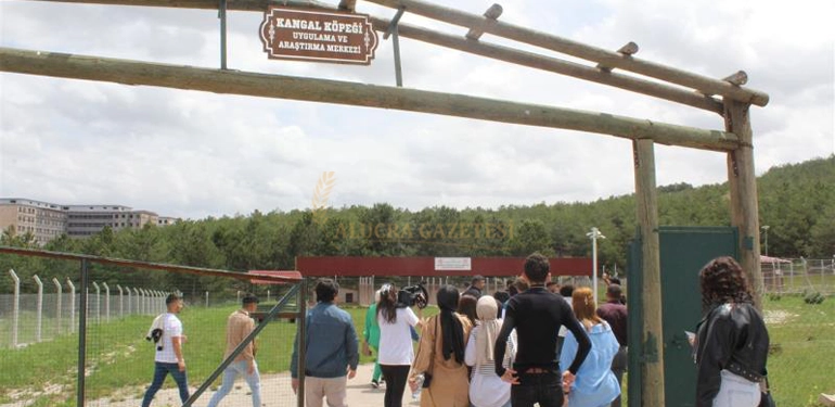 turan bulutcu myo egitim gezileri ile tecrube kazaniyor 3 Alucra, Alucra Gazetesi, Alucra Haberleri