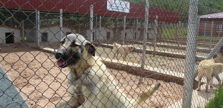 turan bulutcu myo egitim gezileri ile tecrube kazaniyor 4 Alucra, Alucra Gazetesi, Alucra Haberleri