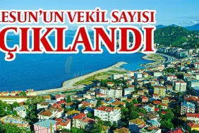 ysk-milletvekili-sayılarini-acikladi-giresunda-vekil-sayisi