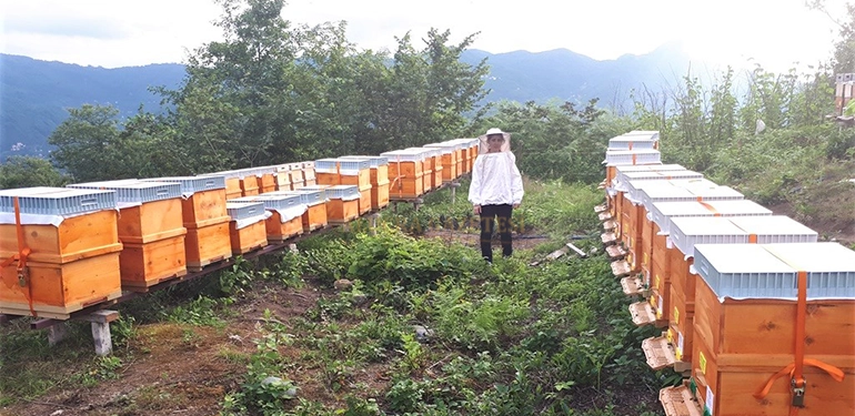 arili kovan destegi muracaatlari basladi 3 Alucra, Alucra Gazetesi, Alucra Haberleri