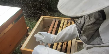 arili-kovan-destegi-muracaatlari-basladi