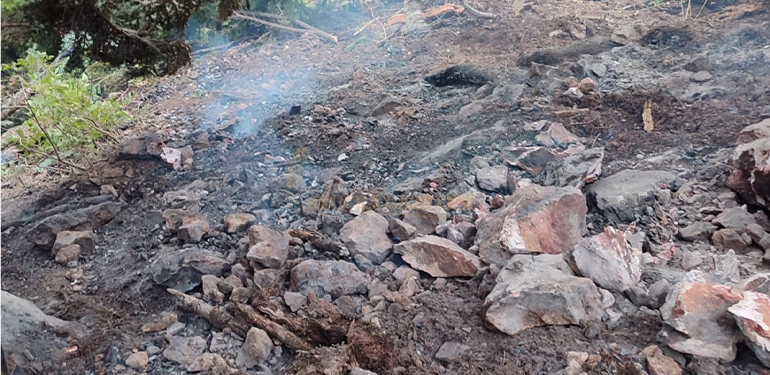 aydinyayla koyunde ormana dusen yildirim yangina neden oldu 3 Alucra, Alucra Gazetesi, Alucra Haberleri