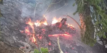 aydinyayla-koyunde-ormana-dusen-yildirim-yangina-neden-oldu