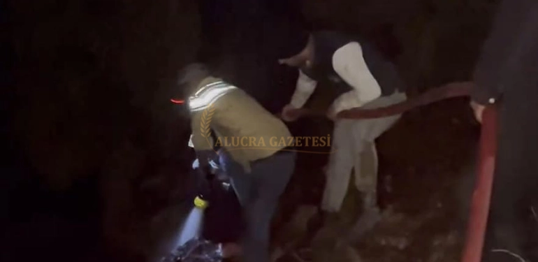 aydinyayla koyunde ormana dusen yildirim yangina neden oldu 4 Alucra, Alucra Gazetesi, Alucra Haberleri