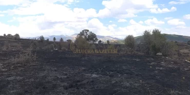 fevzi-cakmak-koyunde-arazi-yangını-cikti-3