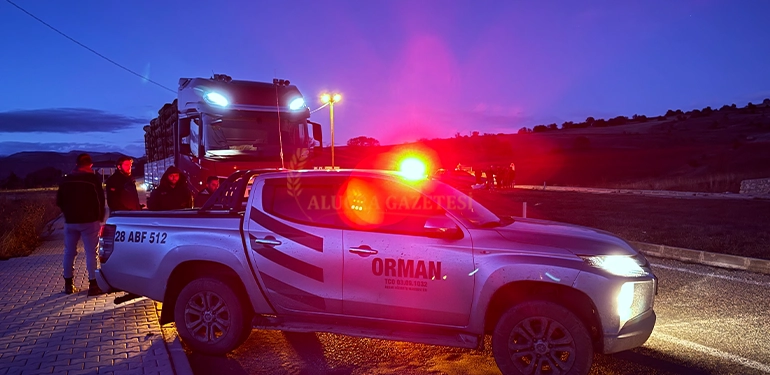 alucrada orman suclarini onlemek icin denetim yapildi 3 Alucra, Alucra Gazetesi, Alucra Haberleri