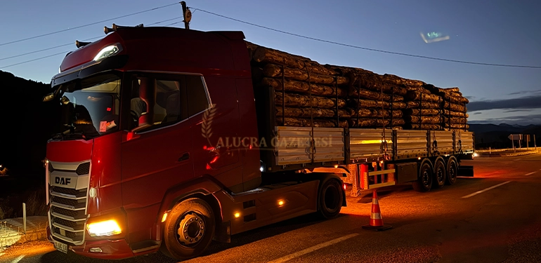 alucrada orman suclarini onlemek icin denetim yapildi 4 Alucra, Alucra Gazetesi, Alucra Haberleri