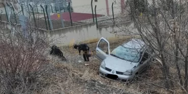 camoluk-da-trafik-kazasi-4-yarali