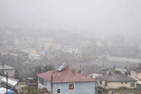 alucra-merkezde-mevsimin-kari-yagdi